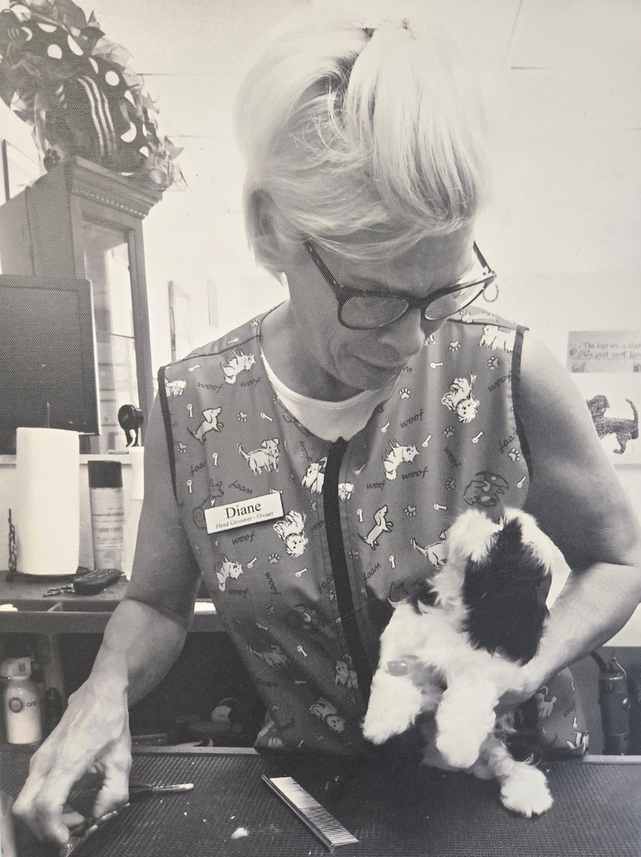 Diane Kosek grooming a dog - a timeless craft